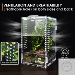 Acrylic Jumping Spider Habitat, Insect Terrarium, Bug Enclosure, Praying Mantis
