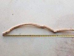 30″ sanded natural Manzanita Branch reptile bird terrarium #126