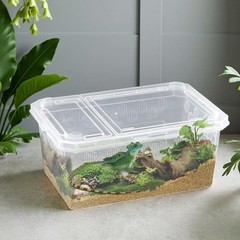 4 Pack Reptile Feeding Box Breeding Box Transparent Cage Habitat Hatching Con…