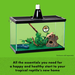 Tropical Habitat Accessory Kit