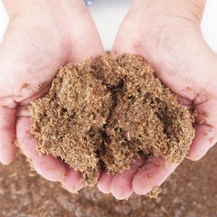 Natural Premium Sphagnum Moss Fiber Substrate Hermit Crab Tank Accessories