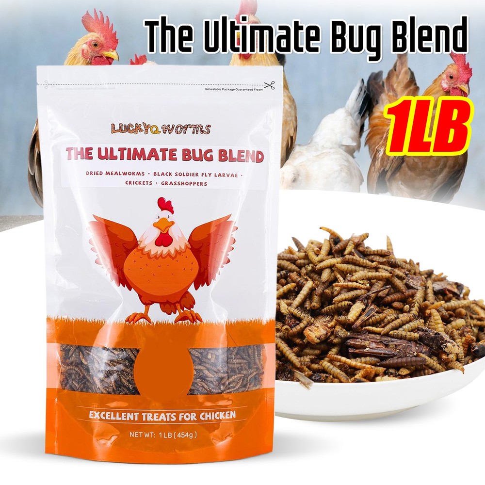 1LB The Ultimate Bug Blend Treat for Birds, Chicken, Reptiles, Ducks, Hedgehogs