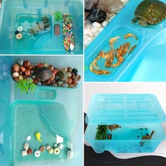 Turtle Tank Aquarium, Turtle Habitat Reptile Plastic Terrarium Safe Durable, …