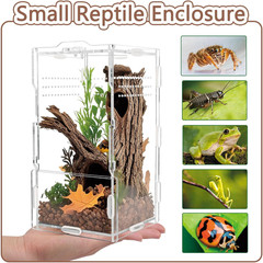 8x4x4in Vertical Acrylic Jumping Spider Enclosure – Arboreal Tarantula & Reptile