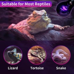 Reptile Heat Lamp 50W 2 Pack, Reptile Night Heat Bulb, Reptiles & Amphibians …