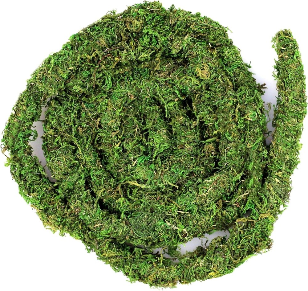Galpagos Moss Vine 12FT Real Moss for Reptile Tank Decoration Green