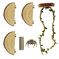 Jumping Spider Enclosure Accessories Kit, Habitat Decor—3 Wood Ledges & 1