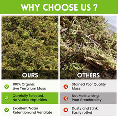 3.5 OZ Premium Sphagnum Moss for Reptiles 4QT Natural Live Moss Reptile Moss Bed