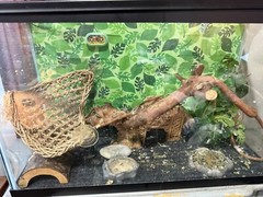 Aquarium Tank Kit Reptile Turtle Frog Lizard Snake Exo Animal Habitat