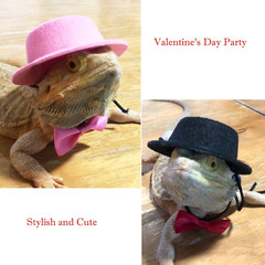 2PCS Valentine’S Day Bearded Dragon Lizard Hat and Bowtie Reptile Black Hat with