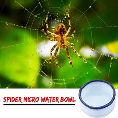 36 Pcs Spider Micro Water Bowl Mini Ceramic Dish for Tarantula White