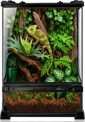 Reptile Terrarium 10″X10″X14″, Full Glass Tank Enclosure for Small Reptiles, Gec