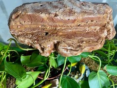 Magnetic Rock Ledges Made For Terrariums And Cages