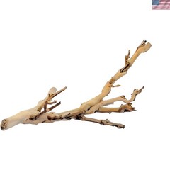 Small Heat-Treated Forest Branch – Enriching Habitat for Reptiles & Small Pets