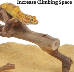 Snake Climbing Branch, 2Pcs Reptile Wood Natural Cork Log Tank Accessories Tree