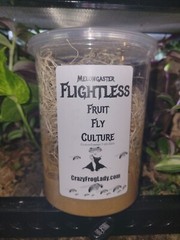 Fruit Fly Culture 3 Flightless + 3 Wingless Dart Frog Food 6 Total Cultures