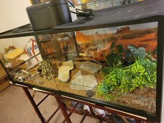 48x18x18 Reptile Enclosure with Sliding Glass Front Doors. All Made From…