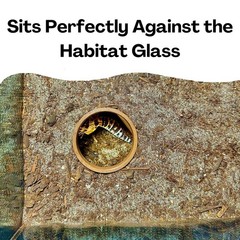 Reptile Corner Underground Cave Viewing Hide | Hognose Snake, Corn Brown