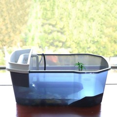 PINVNBY Plastic Turtle Tank Reptile Habitat Pet 15.7×9.1×5.1 Inches, Black