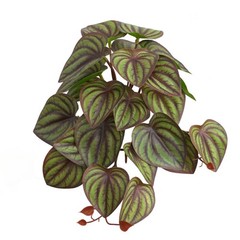 Reptile Tropical Plants Simulation 3D Printed Leaves Habitat Decor
