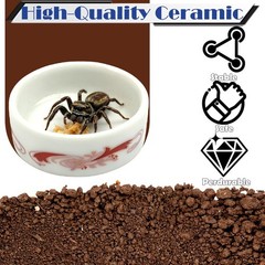 4 Pack Colorful Ceramic Water Bowls, Mini Reptile Food Dishes for Hermit Crab…
