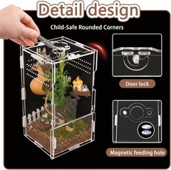 8x4x4in Vertical Acrylic Jumping Spider Enclosure – Transparent color