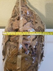 1 Gal Oak-Maple-Hickory Mixed Leaves Leaf Litter Isopods Reptile Frog Terrarium