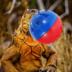 7 Pcs Bearded Dragon Tank Accessories Lizard Toy Ball Chinchilla Toys Reptile