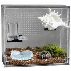 Magnetic Jumping Spider Enclosure Hide Kit with Conch Shelter Shell Ledge and…