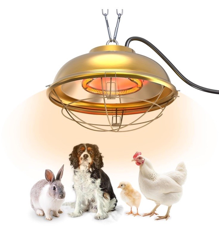 300 Watt Heat Lamp for Chicken Coop – Professional Waterproof