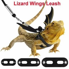 Harness Leash Set, Climbing Pet Going Out Leather Chest Harness, Squirrel3477