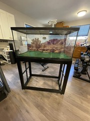 40 gallon tank