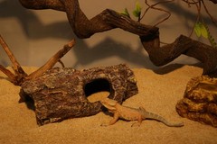 Reptile Tree Hollow Log 8.27×4.72×2.76in for Snake Gecko – Terrarium Habitat