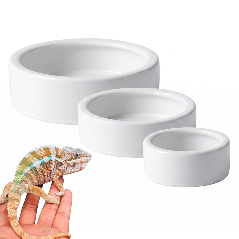 3 Pack Escape Proof Reptile Feeding Dish, Reptile Food and Water Bowl, Cerami…