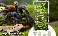 Large Jumping Spider Enclosure, Tarantula Enclosure with Front Opening Door, …