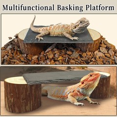 Bearded Dragon Basking Platform,8×4×2.4inch Reptile Heat Storage Slate Stone …