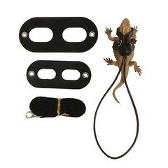 3Pcs Reptile Lizard Harness Durable Black Pet Leashes for Small Pets