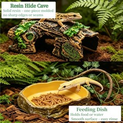 Bearded Dragon Tank Accessories, Terrarium Decor, Ball Python