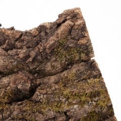 2 Pcs Climbing Bark Reptile Habitat Decor Bearded Dragon Terrarium Decoration