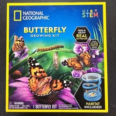 National Geographic Butterfly Growing Kit STEM Activity Sumer School Kidcore Fun
