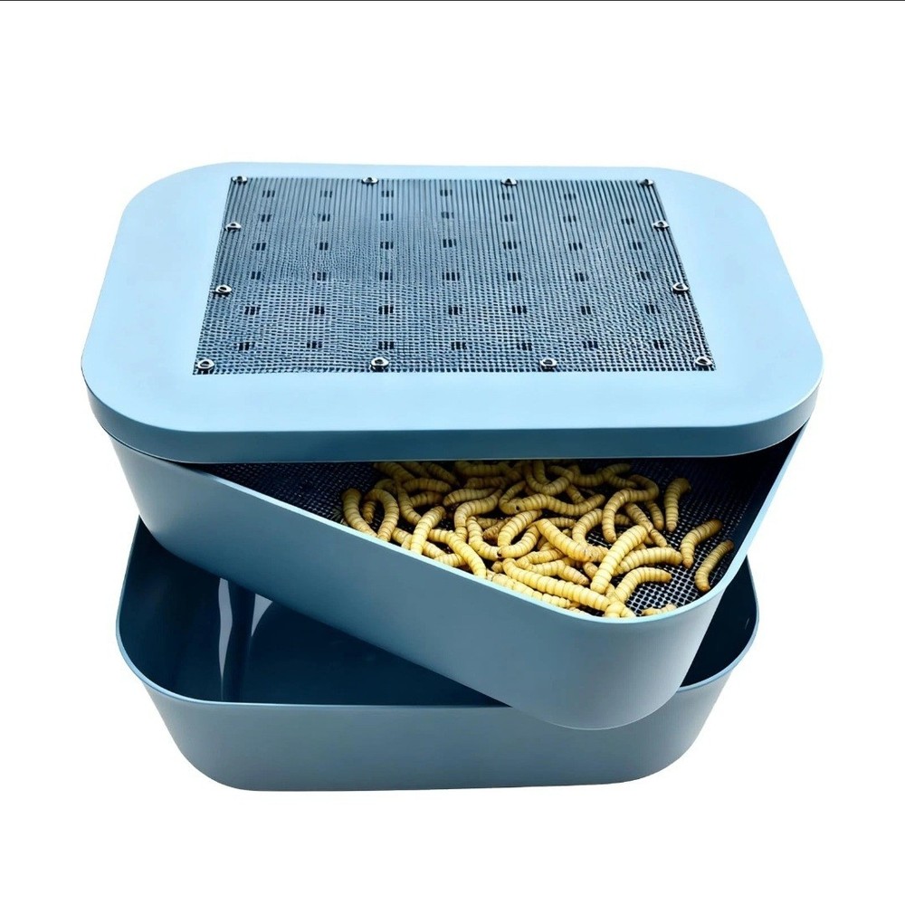 Zmiyivara Mealworm Breeding Kit, Live Feeder Worm Farm for Reptiles, blue