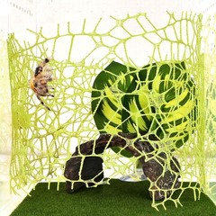 6 PCS Jumping Spider Habitat Accessories – Climbing Web with 9 Mini Hooks for…