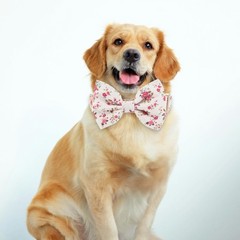 Adjustable Pet Bow Tie and Dog Collar for Small Medium Large Dogs, Puppy Coll…