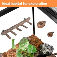 Jumping Spider Hideout and Feeding Dish, 3 in 1 Nut Shaped Hide Cave Sets for…