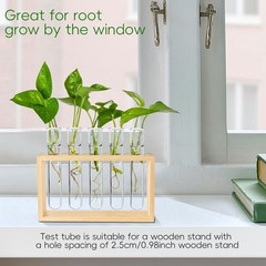 15Pcs 20ml Clear Plant Propagation Test Tubes w/ Brush Hydroponic Flower Decor