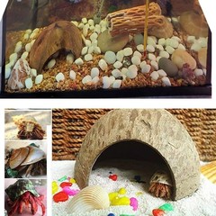 15 PCS Hermit Crab Growth Seashells 7 Types Natural Shells for Fish Tank