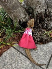 Bearded dragon Dress