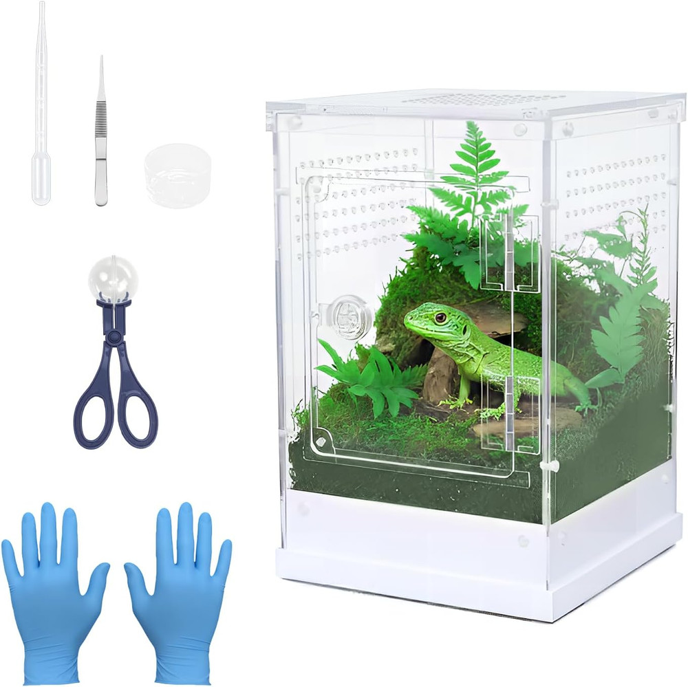 Jumping Spider Enclosure,7.8”X8”X12” Large Insect Terrarium, Praying Mantis H
