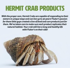 Fluker’s Hermit Crab Instant Blueberry Fruit Treat w/ Feeding Kit 0.7 oz