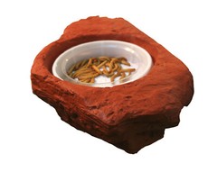 MagNatural Small Worm Feeder Ledge Mojave – Pet-Tekk